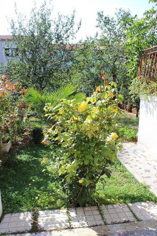 Pet Friendly Apartment In Porec With Wifi Номер фото
